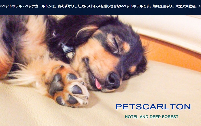 PETSCARLTONybgzeTCg
